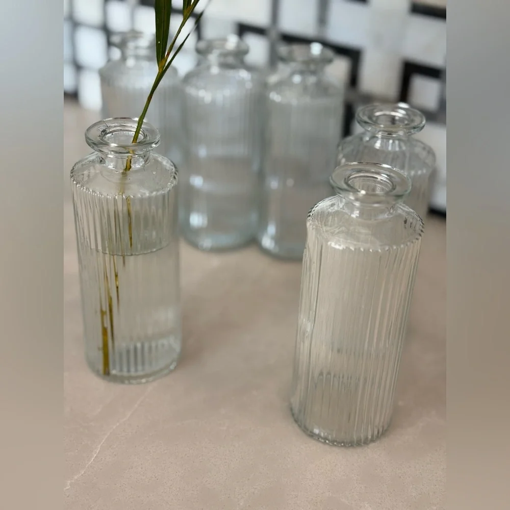 Set of 6 West Elm Modern Glass Ribbed Bud Vases - Picture 10 of 11